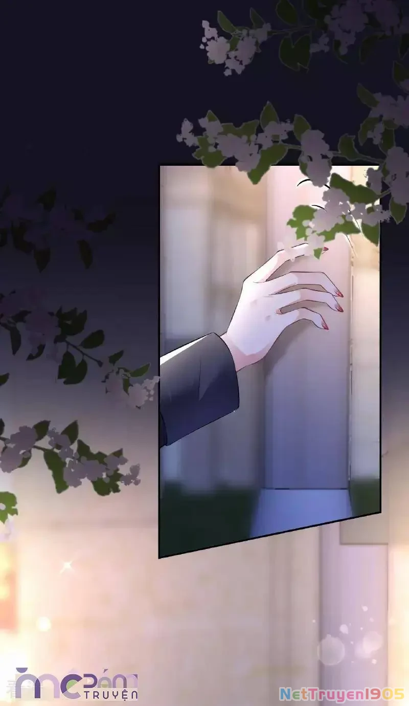 Tùy Ý Thiêu Đốt Lửa Tình Chapter 104 - 13