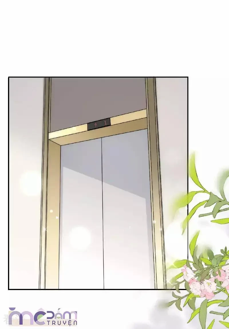 Tùy Ý Thiêu Đốt Lửa Tình Chapter 105 - 11