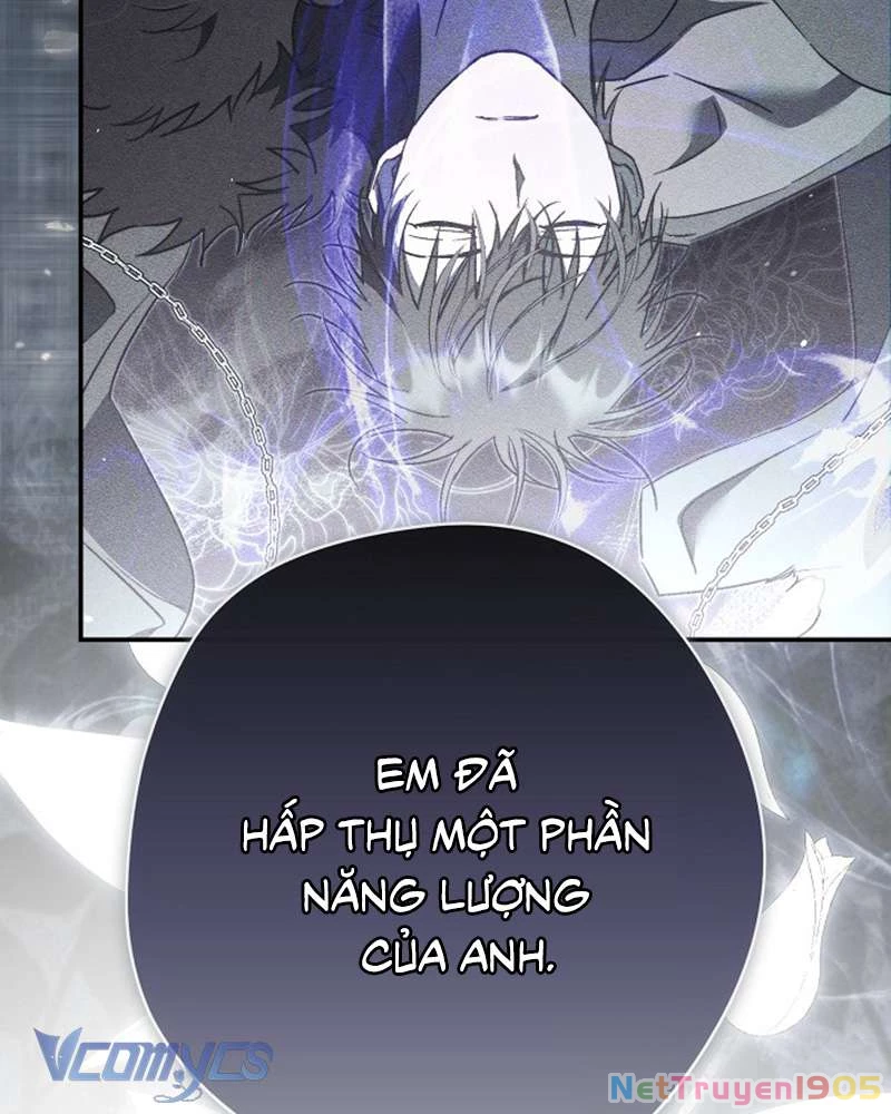 Các Nam Chính Đã Bị Nữ Phụ Cướp Mất Chapter 60 - 111