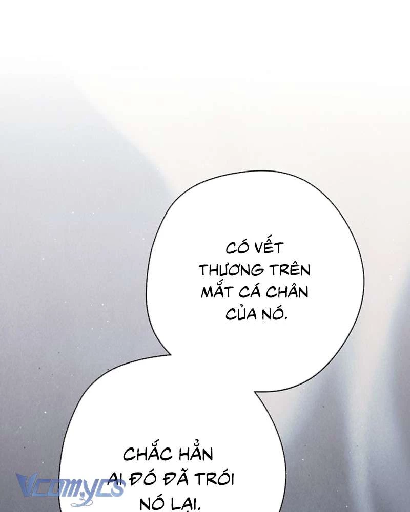 Các Nam Chính Đã Bị Nữ Phụ Cướp Mất Chapter 60 - 144