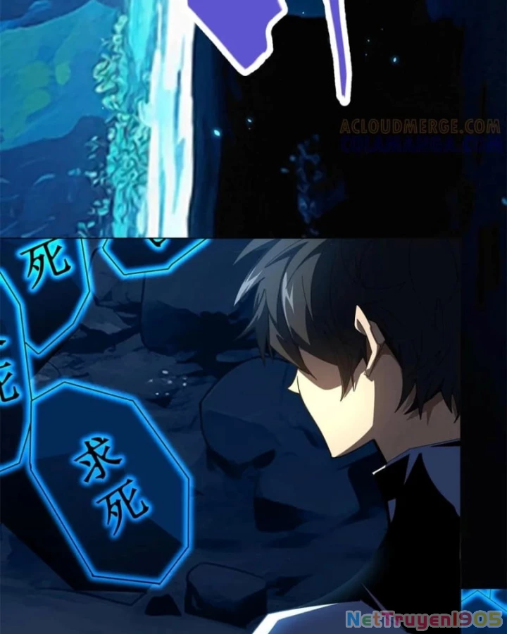 Ta Thành Vương Giả Từ Khắc Kim Chapter 47 - 24
