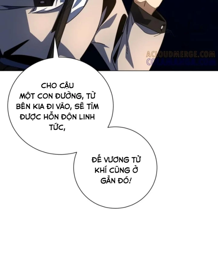 Ta Thành Vương Giả Từ Khắc Kim Chapter 47 - 45