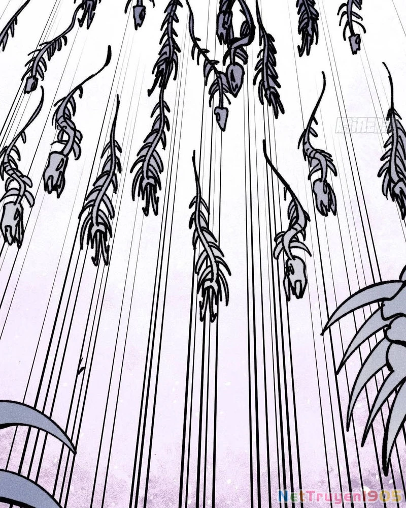 Vạn Cổ Tối Cường Tông Chapter 455 - 68