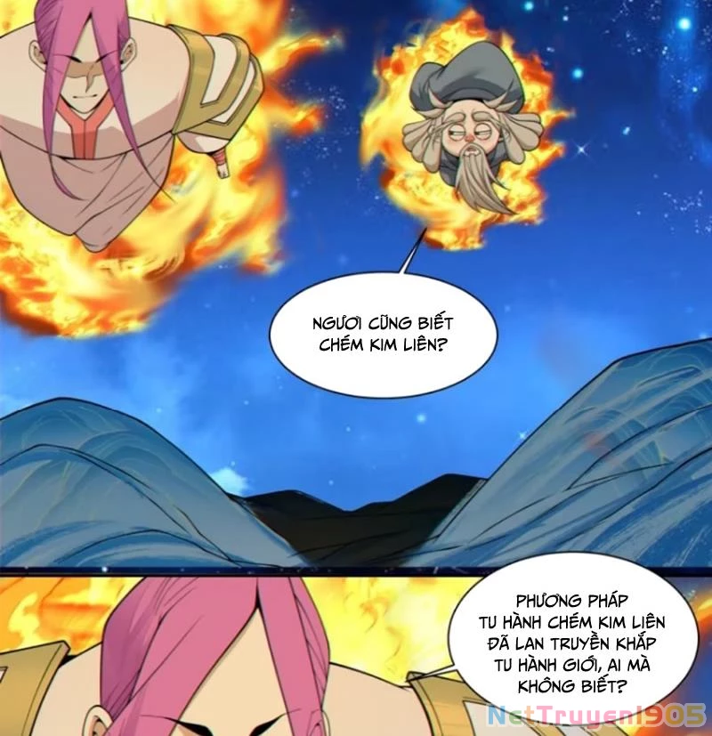 Đồ Đệ Của Ta Đều Là Đại Phản Phái Chapter 412 - 24
