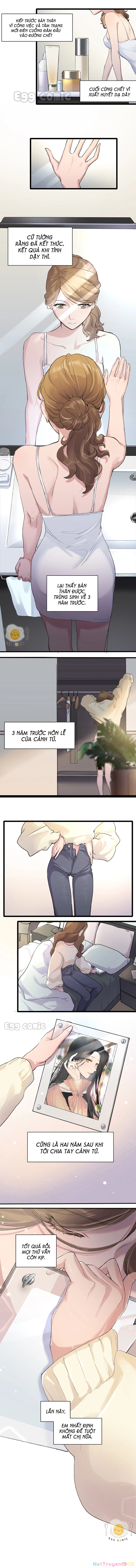 Dư Tình Khả Đãi Chapter 1 - 5