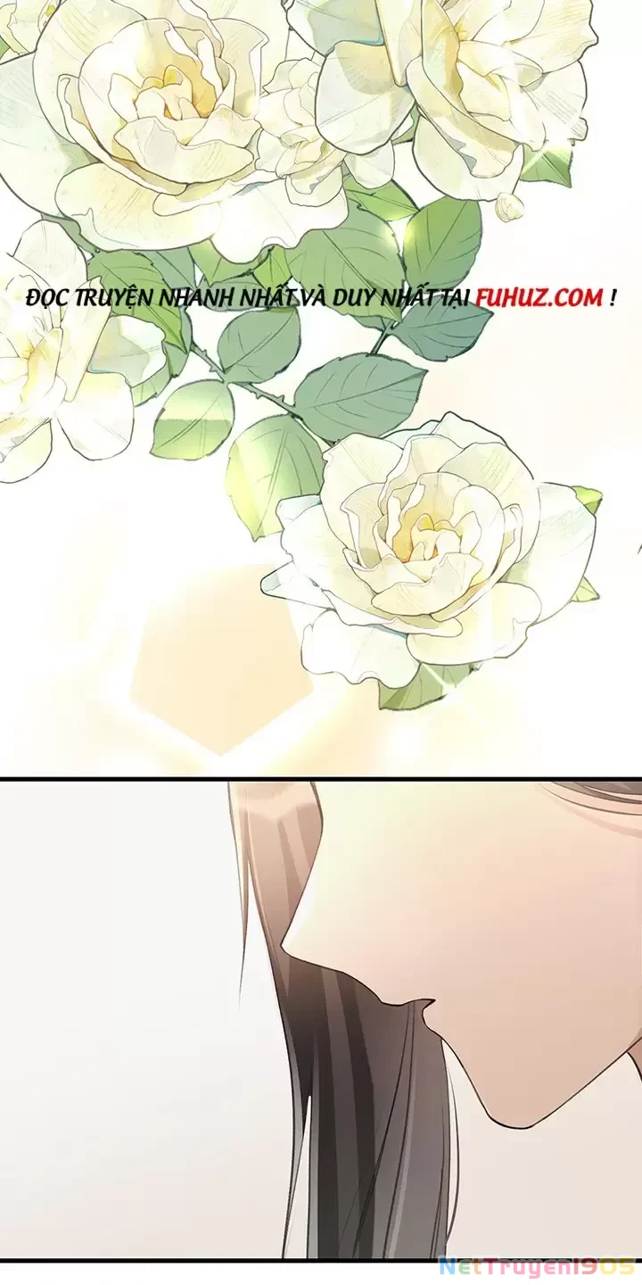 Dư Tình Khả Đãi Chapter 91 - 17