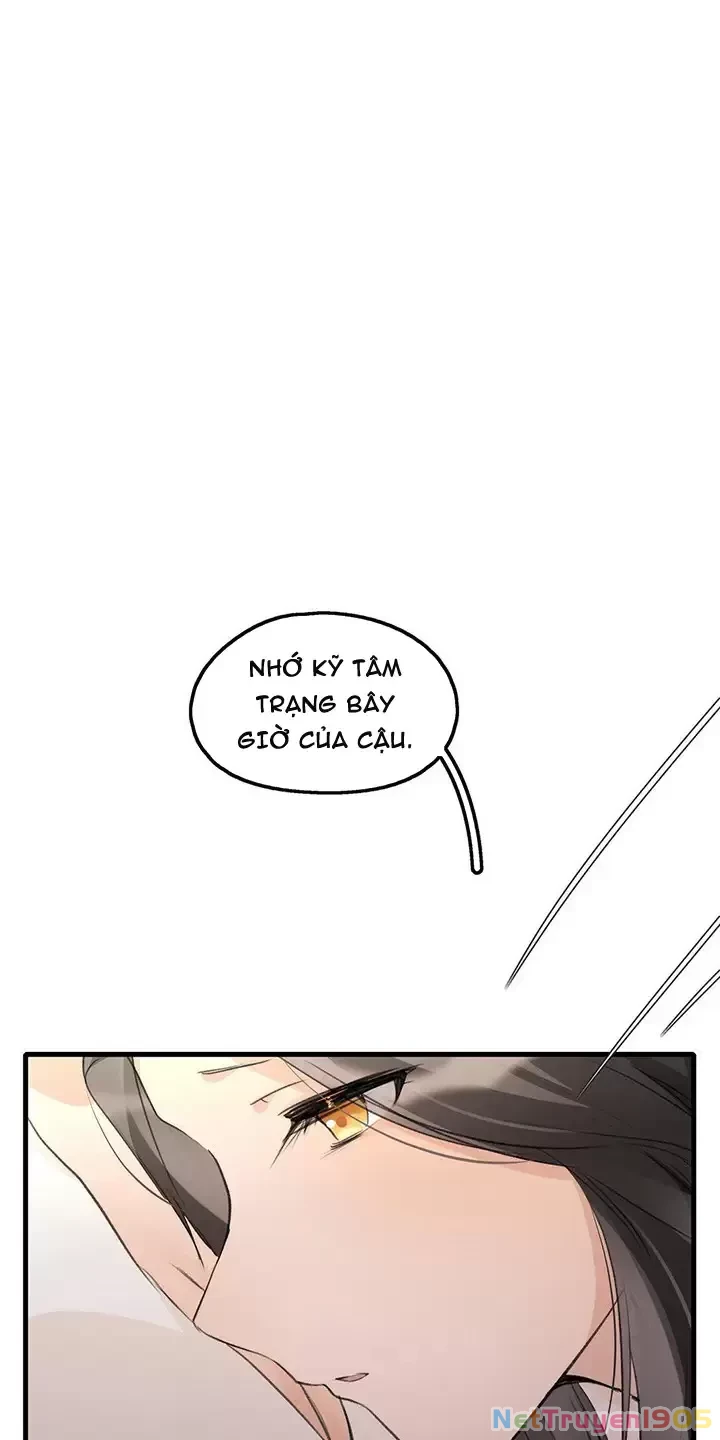 Dư Tình Khả Đãi Chapter 102 - 17