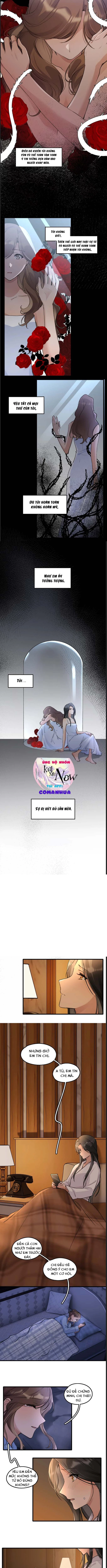 Dư Tình Khả Đãi Chapter 147 - 2