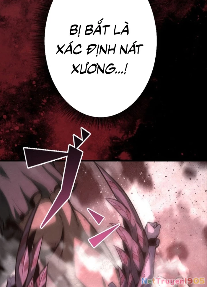 Tên Tù Nhân Già Bất Khả Chiến Bại Chapter 6 - 99