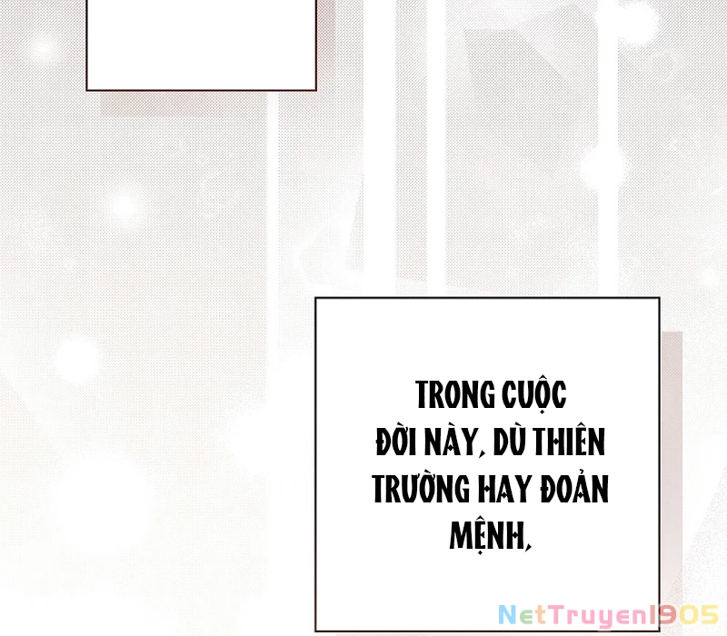 Seian - Tử Thần Tái Sinh Chapter 3 - 248