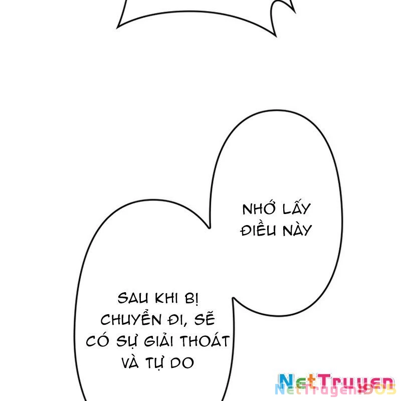 Tên Tù Nhân Già Bất Khả Chiến Bại Chapter 8 - 146