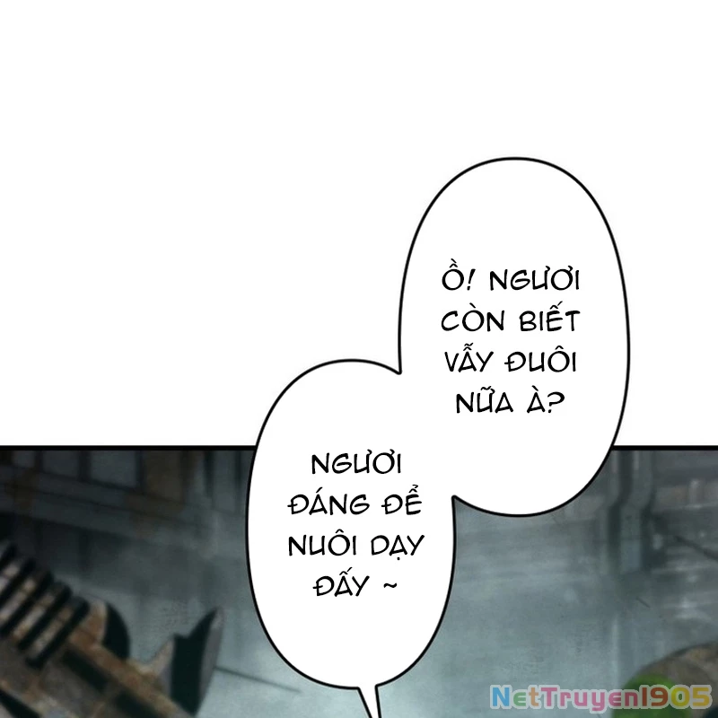 Tên Tù Nhân Già Bất Khả Chiến Bại Chapter 9 - 4