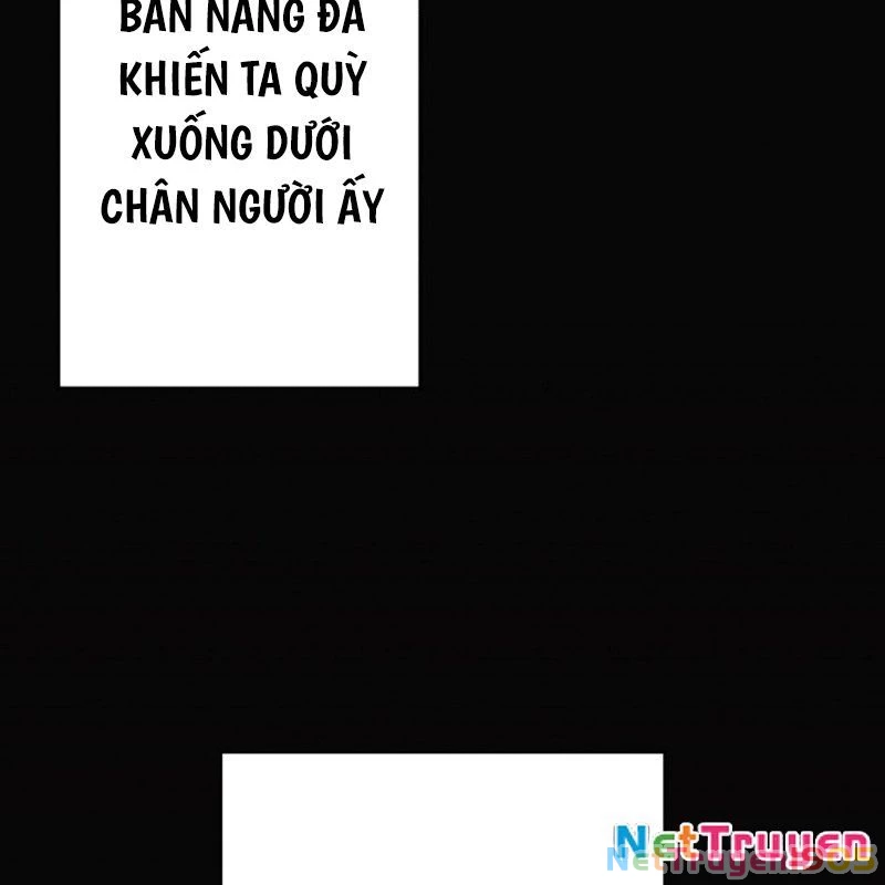 Tên Tù Nhân Già Bất Khả Chiến Bại Chapter 12 - 16