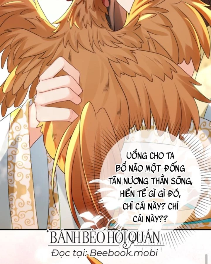 Sau Khi Xuyên Sách, 5 Nhân Cách Của Bạo Quân Đều Yêu Ta Chapter 11 - 43