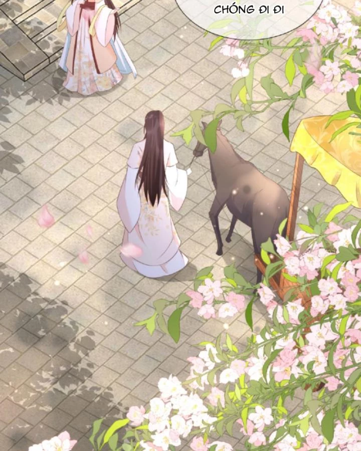 Sau Khi Xuyên Sách, 5 Nhân Cách Của Bạo Quân Đều Yêu Ta Chapter 28 - 24