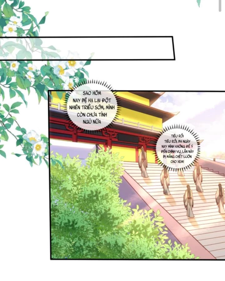 Sau Khi Xuyên Sách, 5 Nhân Cách Của Bạo Quân Đều Yêu Ta Chapter 33 - 9