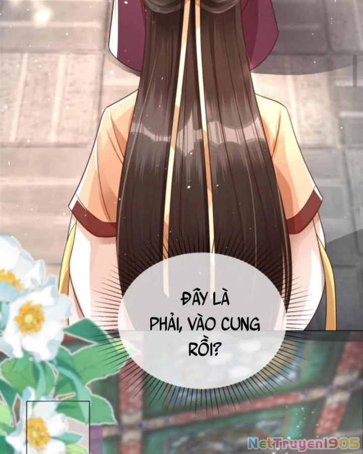 Sau Khi Xuyên Sách, 5 Nhân Cách Của Bạo Quân Đều Yêu Ta Chapter 58 - 31