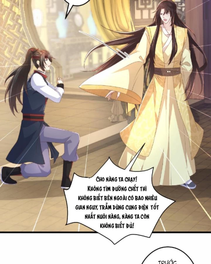 Sau Khi Xuyên Sách, 5 Nhân Cách Của Bạo Quân Đều Yêu Ta Chapter 66 - 25