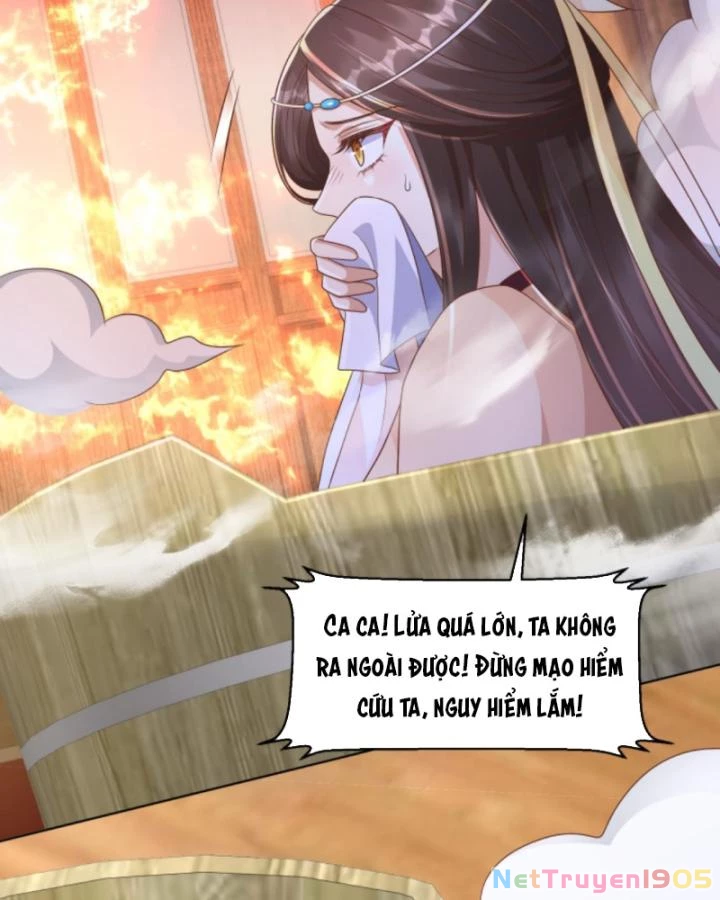 Sau Khi Xuyên Sách, 5 Nhân Cách Của Bạo Quân Đều Yêu Ta Chapter 67 - 37