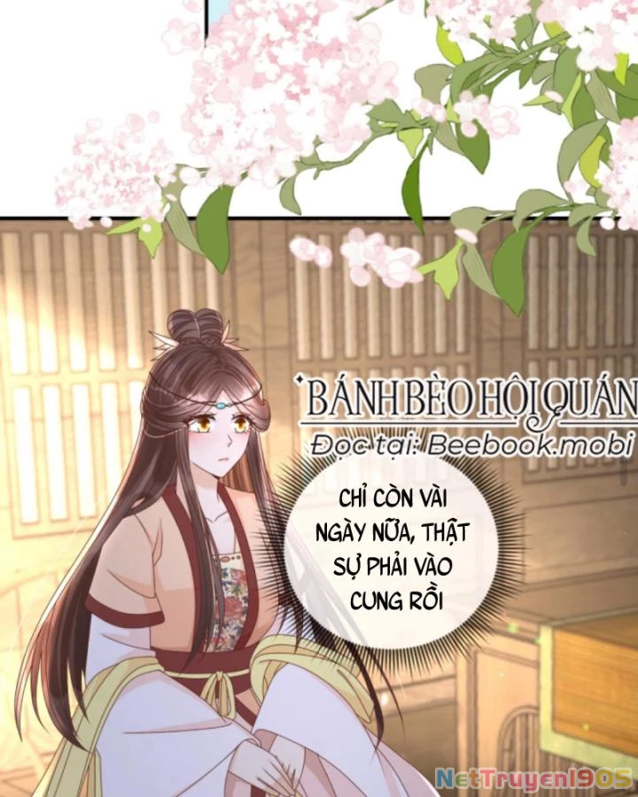 Sau Khi Xuyên Sách, 5 Nhân Cách Của Bạo Quân Đều Yêu Ta Chapter 70 - 20