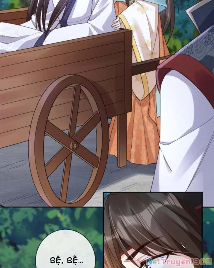 Sau Khi Xuyên Sách, 5 Nhân Cách Của Bạo Quân Đều Yêu Ta Chapter 142 - 12