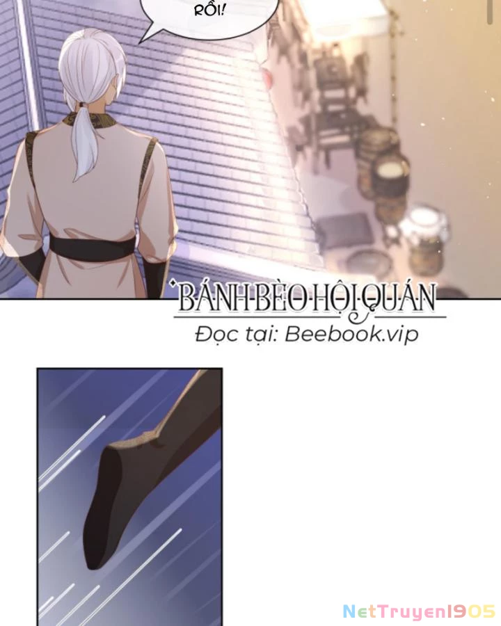 Sau Khi Xuyên Sách, 5 Nhân Cách Của Bạo Quân Đều Yêu Ta Chapter 146 - 10