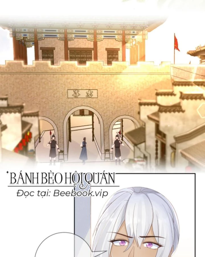 Sau Khi Xuyên Sách, 5 Nhân Cách Của Bạo Quân Đều Yêu Ta Chapter 146 - 25