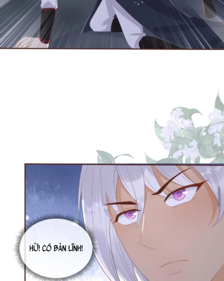 Sau Khi Xuyên Sách, 5 Nhân Cách Của Bạo Quân Đều Yêu Ta Chapter 149 - 21