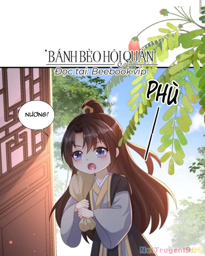 Sau Khi Xuyên Sách, 5 Nhân Cách Của Bạo Quân Đều Yêu Ta Chapter 196 - 4