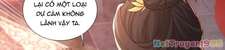 Sau Khi Xuyên Sách, 5 Nhân Cách Của Bạo Quân Đều Yêu Ta Chapter 196 - 35