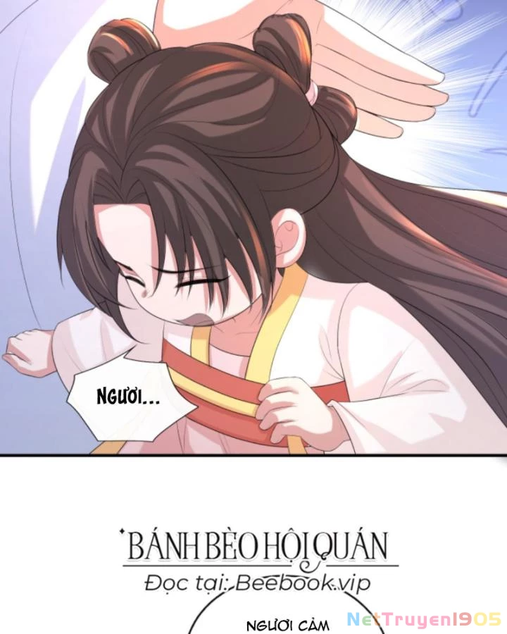 Sau Khi Xuyên Sách, 5 Nhân Cách Của Bạo Quân Đều Yêu Ta Chapter 197 - 23