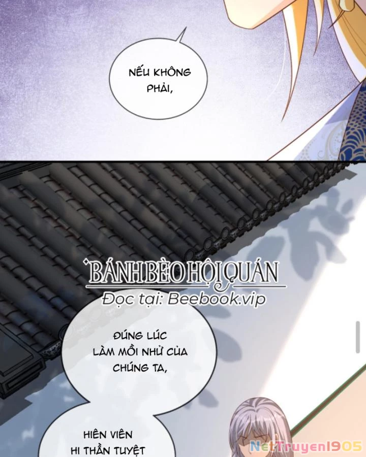 Sau Khi Xuyên Sách, 5 Nhân Cách Của Bạo Quân Đều Yêu Ta Chapter 198 - 11