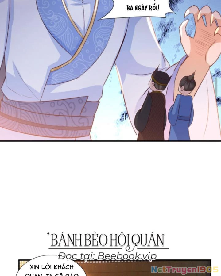 Sau Khi Xuyên Sách, 5 Nhân Cách Của Bạo Quân Đều Yêu Ta Chapter 212 - 26