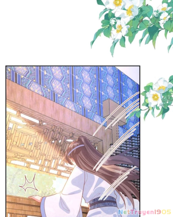 Sau Khi Xuyên Sách, 5 Nhân Cách Của Bạo Quân Đều Yêu Ta Chapter 216 - 8