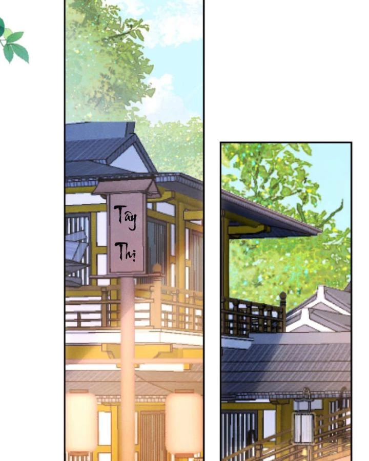 Sau Khi Xuyên Sách, 5 Nhân Cách Của Bạo Quân Đều Yêu Ta Chapter 216 - 11