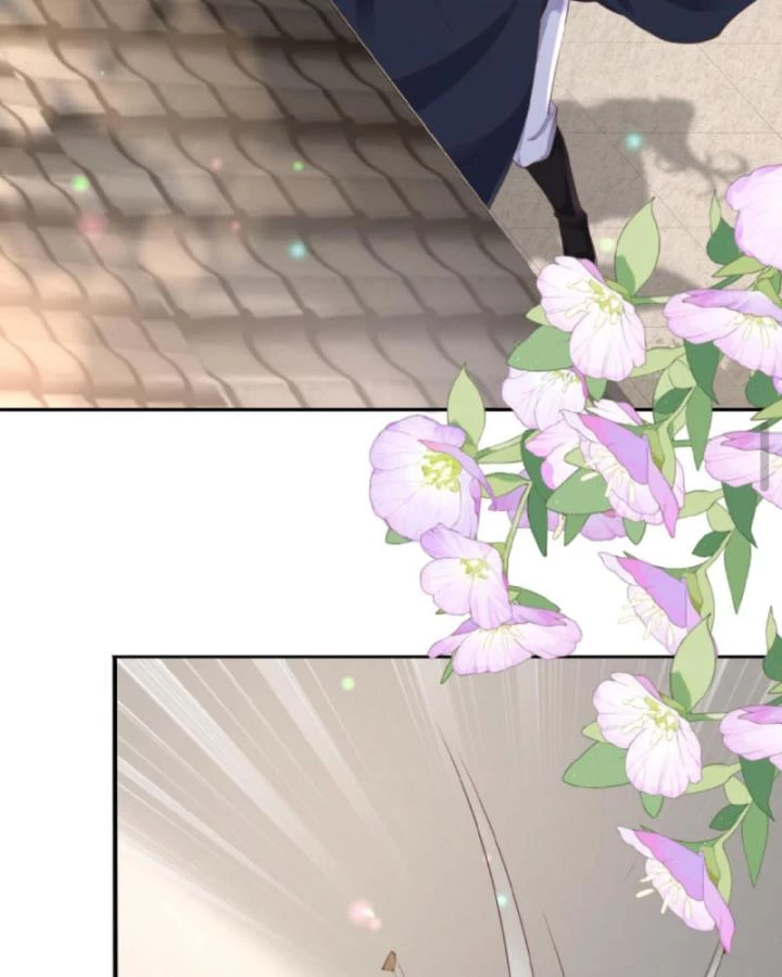 Sau Khi Xuyên Sách, 5 Nhân Cách Của Bạo Quân Đều Yêu Ta Chapter 217 - 27