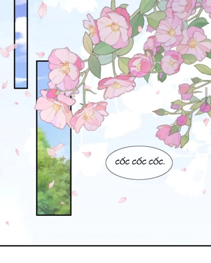 Sau Khi Xuyên Sách, 5 Nhân Cách Của Bạo Quân Đều Yêu Ta Chapter 225 - 46