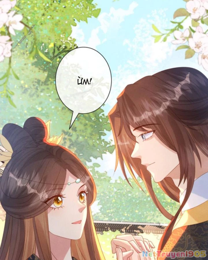 Sau Khi Xuyên Sách, 5 Nhân Cách Của Bạo Quân Đều Yêu Ta Chapter 231 - 13