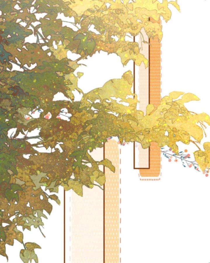 Sau Khi Xuyên Sách, 5 Nhân Cách Của Bạo Quân Đều Yêu Ta Chapter 231 - 55