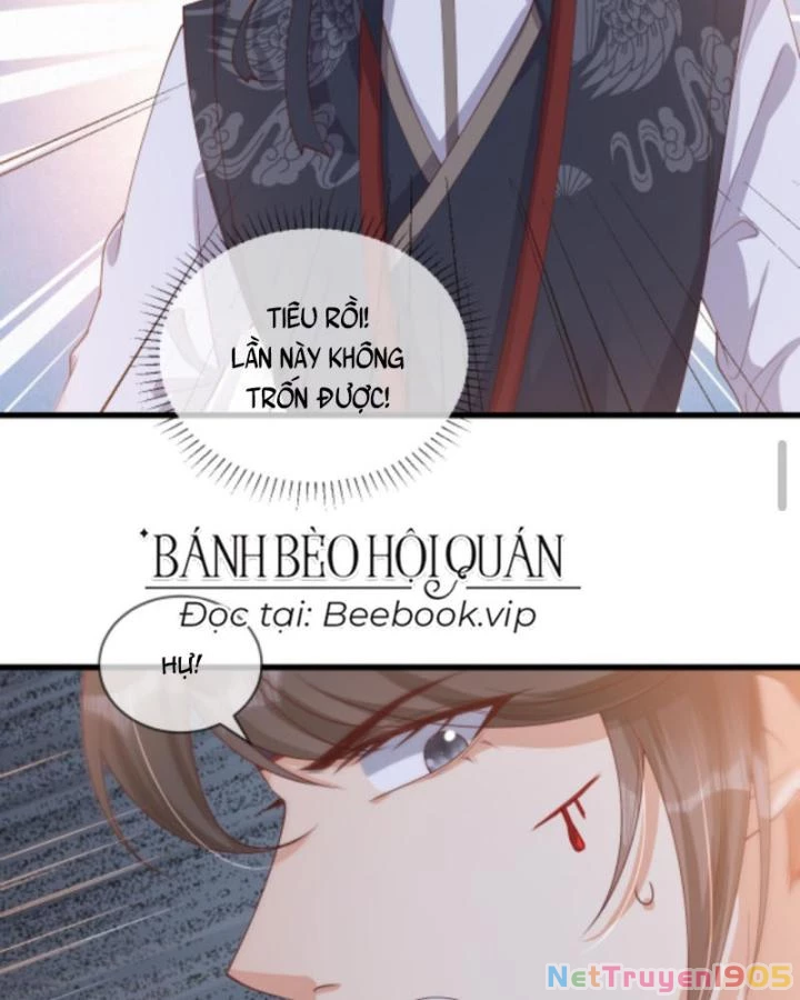 Sau Khi Xuyên Sách, 5 Nhân Cách Của Bạo Quân Đều Yêu Ta Chapter 232 - 8