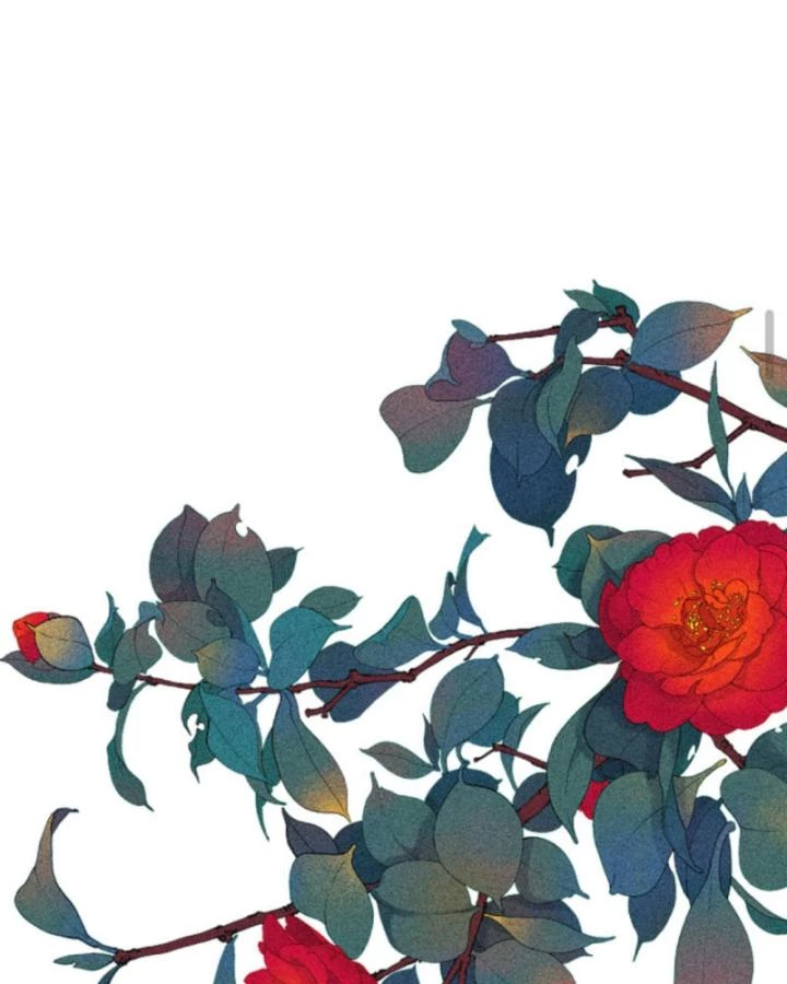 Sau Khi Xuyên Sách, 5 Nhân Cách Của Bạo Quân Đều Yêu Ta Chapter 236 - 13