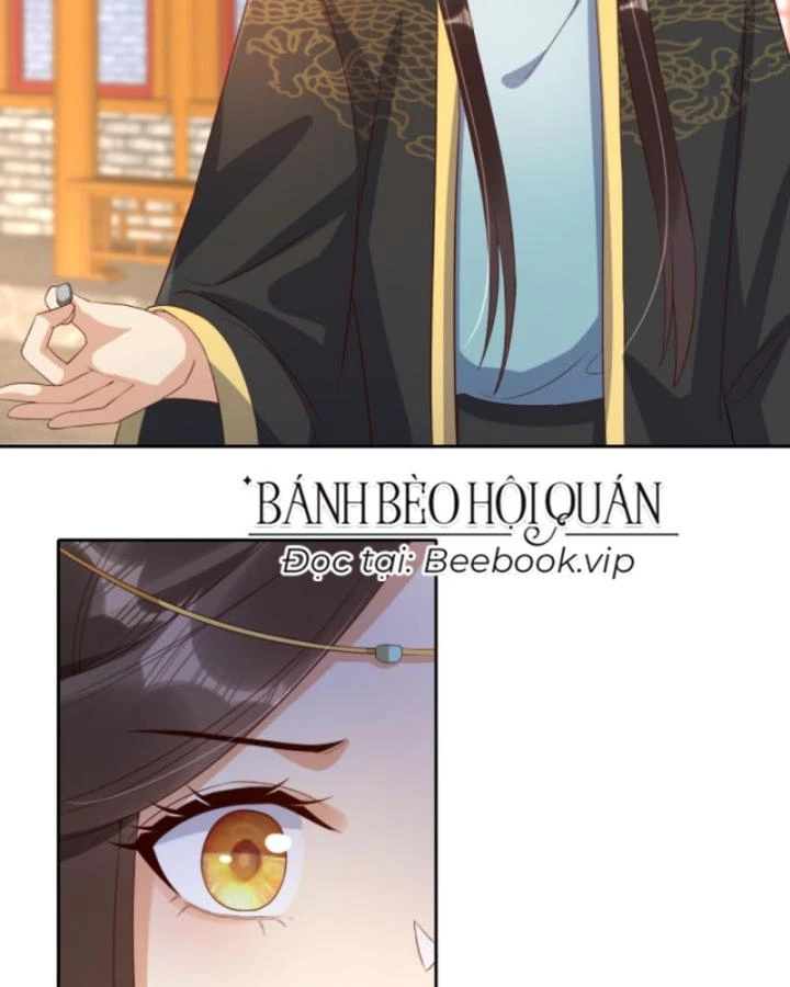 Sau Khi Xuyên Sách, 5 Nhân Cách Của Bạo Quân Đều Yêu Ta Chapter 238 - 11