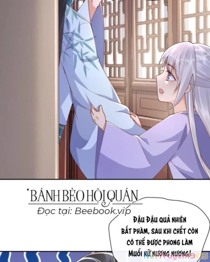 Sau Khi Xuyên Sách, 5 Nhân Cách Của Bạo Quân Đều Yêu Ta Chapter 239 - 64