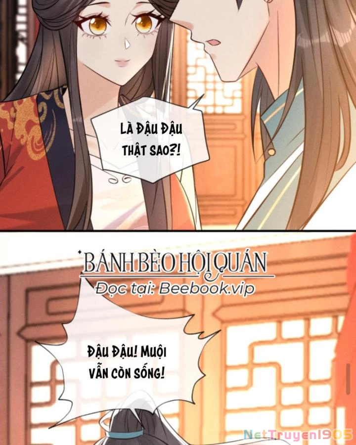 Sau Khi Xuyên Sách, 5 Nhân Cách Của Bạo Quân Đều Yêu Ta Chapter 240 - 12