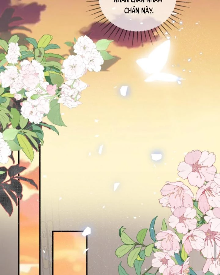 Sau Khi Xuyên Sách, 5 Nhân Cách Của Bạo Quân Đều Yêu Ta Chapter 241 - 44
