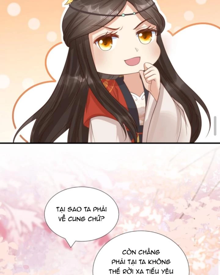 Sau Khi Xuyên Sách, 5 Nhân Cách Của Bạo Quân Đều Yêu Ta Chapter 244 - 53