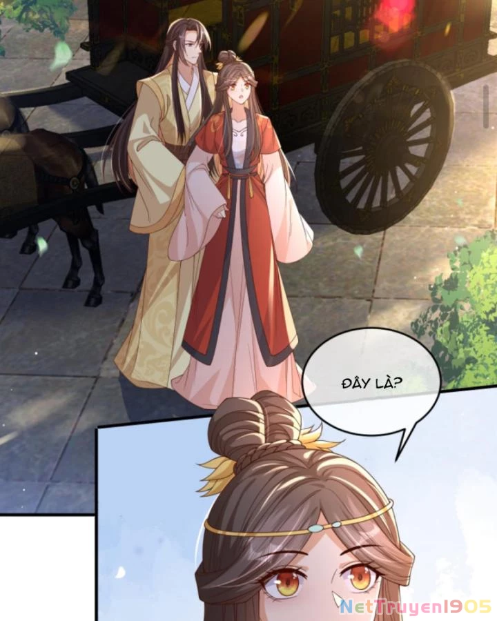 Sau Khi Xuyên Sách, 5 Nhân Cách Của Bạo Quân Đều Yêu Ta Chapter 244 - 65