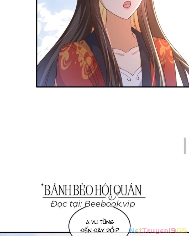 Sau Khi Xuyên Sách, 5 Nhân Cách Của Bạo Quân Đều Yêu Ta Chapter 244 - 66