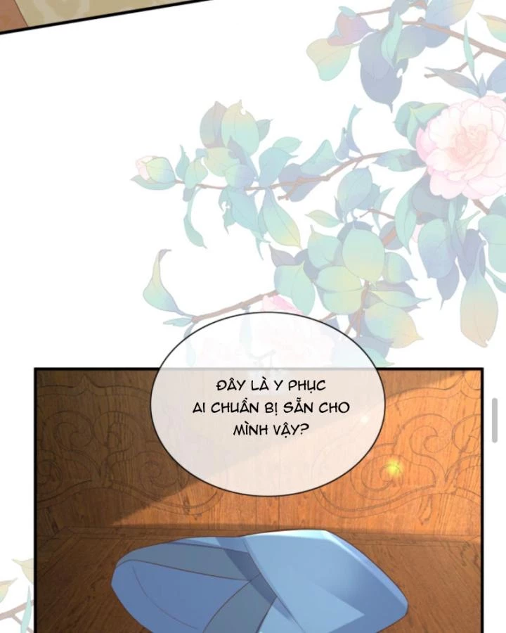 Sau Khi Xuyên Sách, 5 Nhân Cách Của Bạo Quân Đều Yêu Ta Chapter 245 - 52