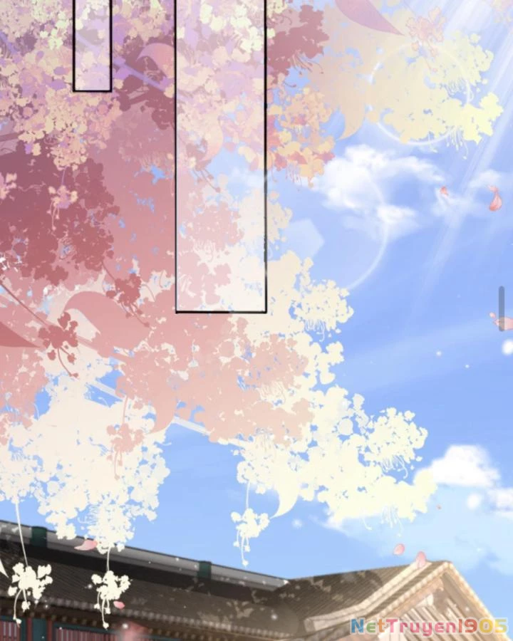 Sau Khi Xuyên Sách, 5 Nhân Cách Của Bạo Quân Đều Yêu Ta Chapter 246 - 12